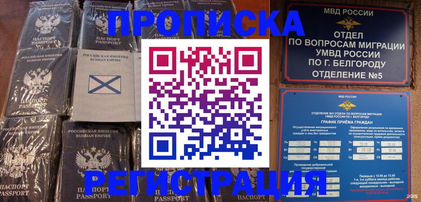 прописка гарантия в Порхове